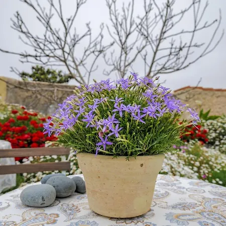 Casa de Férias Casa Leandra Con Jacuzzi *