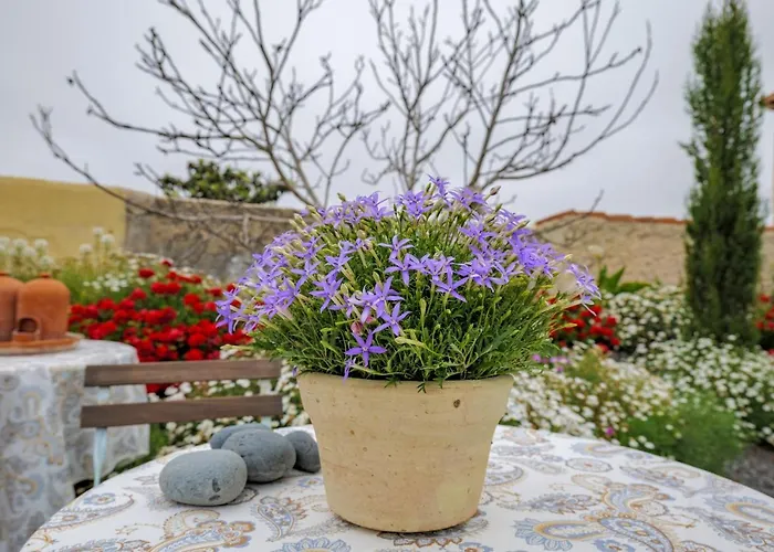 Vakantiehuis Casa Leandra Con Jacuzzi *